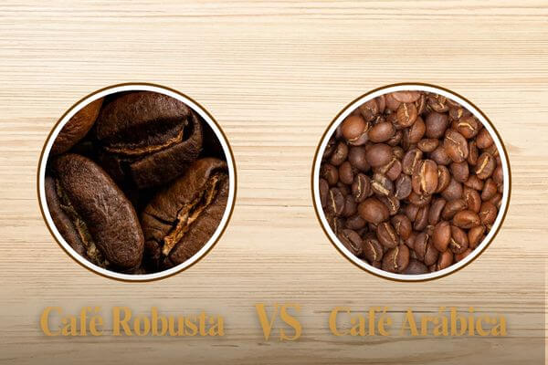 Café arábica VS Café robusta