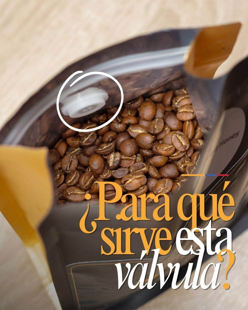 ¿Por qué las bolsas de café llevan válvula? Cómo mantener fresco el café de especialidad